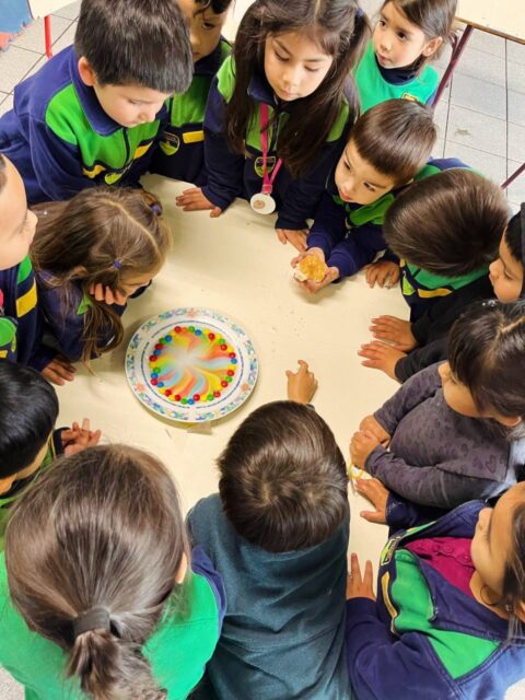 En Prekínder del Colegio El Labrador de Osorno, los niños y niñas participan en experiencias de experimentación que les permiten explorar, descubrir y maravillarse con el mundo que los rodea. A través del juego y la observación, desarrollan su curiosidad natural, fortaleciendo el asombro y el aprendizaje significativo desde sus primeras experiencias educativas. “Labrando Futuro”