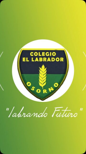 ¡En el Colegio El Labrador de Osorno seguimos Labrando Futuro!
Cada día construimos nuevas oportunidades de aprendizaje, promoviendo una educación basada en valores, respeto, inclusión y compromiso con nuestros estudiantes. ¡Juntos seguimos creciendo y formando el futuro!
#ColegioElLabrador #LabrandoFuturo #Osorno #EducaciónDeCalidad #ComunidadEducativa