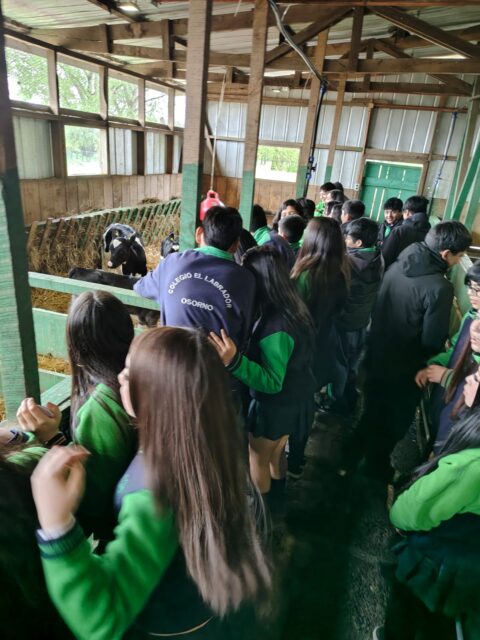 Compartimos imágenes de nuestros estudiantes de octavo básico, quienes hoy martes 13 de octubre visitaron las dependencias del Liceo Bicentenario Agrícola Tecnológico Werner Grob de la comuna de La Unión, Región de Los Ríos. Dicha actividad fue realizada en el marco y compromiso que el Colegio El Labrador Osorno tiene en la formación integral de sus estudiantes. Asimismo, ofrecer oportunidades de crecimiento educativo y personal. 

El Colegio El Labrador Osorno comprometido con la formación integral de sus estudiantes.

Sigamos Labrando Futuro...