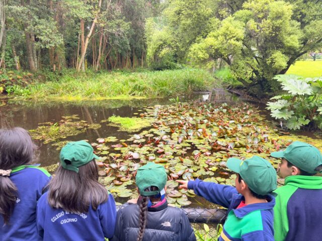 Hoy martes 20 de octubre nuestros estudiantes de 4° básico, por motivo de su salida pedagógica visitaron el Museo Alemán de la comuna de Frutillar, Región de Los Lagos, cuyo propósito fue Desarrollar la comprensión lectora y la producción de textos a partir de la experiencia. 

El Colegio El Labrador Osorno comprometido con la formación integral de sus estudiantes.

Sigamos Labrando Futuro...